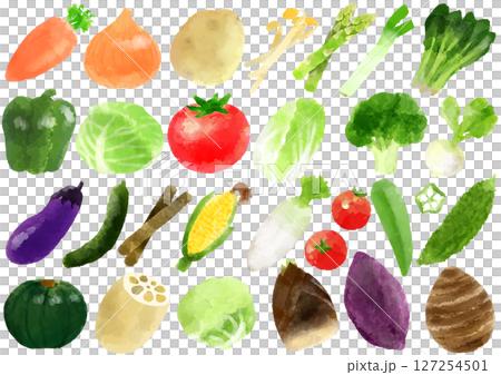Vegetable icon illustration hand-drawn watercolor style 127254501