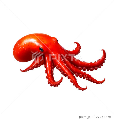 Vibrant Red Octopus Swimming in Deep Blue Ocean with Graceful Tentacles and Bright Colors Vibrant Red Octopus Swimming in Deep Blue Ocean with Graceful Tentacles and Bright Colors 127254876