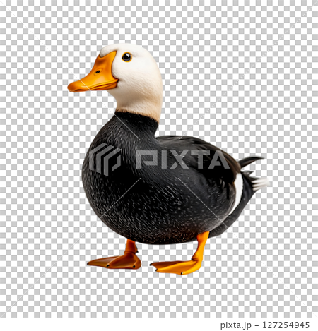 Detailed and Colorful Portrait of a Duck with Unique Feather Patterns and Expression 127254945
