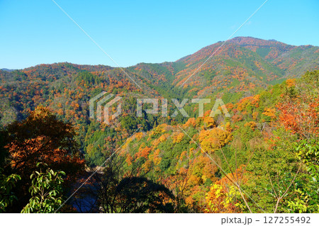 色づく山々 色づく山々 127255492