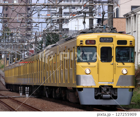 ［SS］西武新宿線旧2000系電車（急行-10両編成：西武新宿行） 127255909