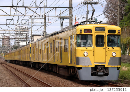 ［SS］西武新宿線旧2000系電車（急行-10両編成：西武新宿行） 127255911