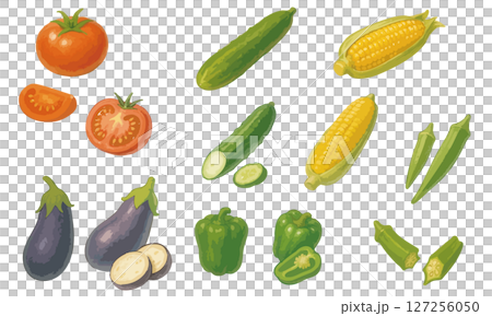 夏野菜のイラストセット｜トマト・きゅうり・とうもろこし・ナス・ピーマン・オクラ 127256050
