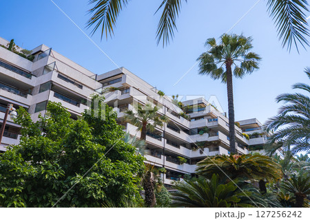 A modern residential or hotel building in Cannes, France, surrounded by palm trees and greenery. Balconies with plants and a clear blue sky complete the scene. 127256242