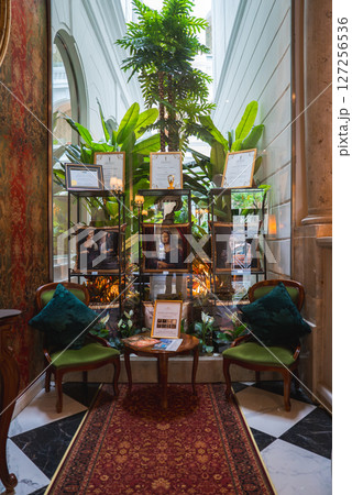 Elegant seating area with vintage chairs, wooden table, and red rug. Glass shelves display awards, framed by tall plants and large windows. Elegant seating area with vintage chairs, wooden table, and red rug. Glass shelves display awards, framed by tall plants and large windows. 127256536