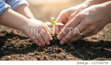 Planting a Seed Together, Child and Adult Hands 127256739