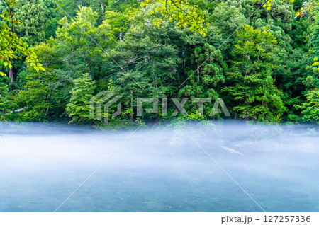 新潟 龍ヶ窪 霧のかかる早朝 新潟 龍ヶ窪 霧のかかる早朝 127257336