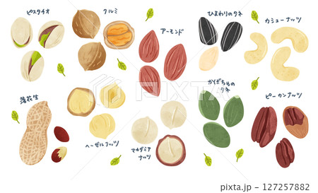 ナッツ10種類のセット　水彩風手描きイラスト 127257882
