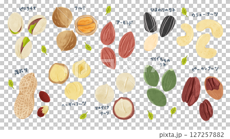 10 種堅果組-水彩手繪插圖 127257882