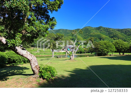 【愛媛県】快晴の須ノ川キャンプ場（ゆらり内海） 127258333