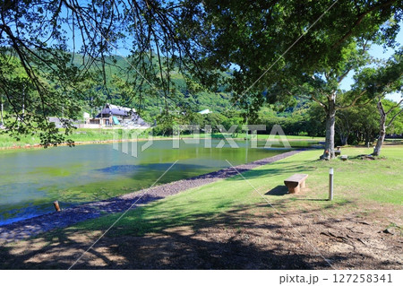 【愛媛県】快晴の須ノ川キャンプ場(ゆらり内海) 【愛媛県】快晴の須ノ川キャンプ場(ゆらり内海) 127258341