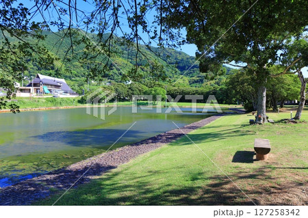 【愛媛県】快晴の須ノ川キャンプ場（ゆらり内海） 127258342