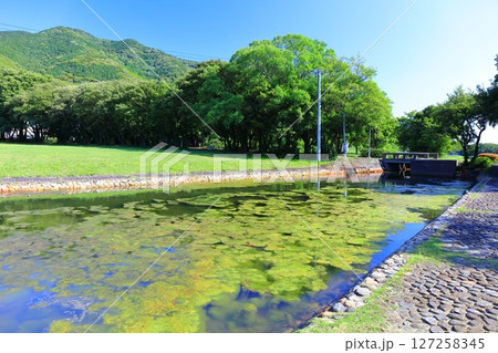 【愛媛県】快晴の須ノ川公園（ゆらり内海） 127258345