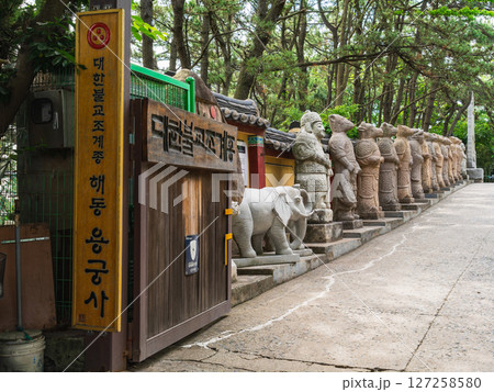 釜山　海東龍宮寺　入場口に据えられた十二支石像 127258580