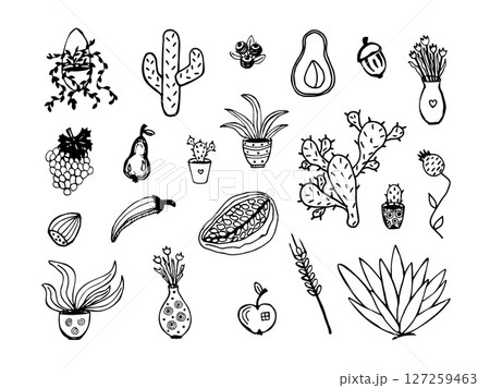 Different types of plants, black doodle set Different types of plants, black doodle set 127259463