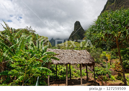 マウイ島　イアオ渓谷州立公園　イアオ・ニードル 127259509