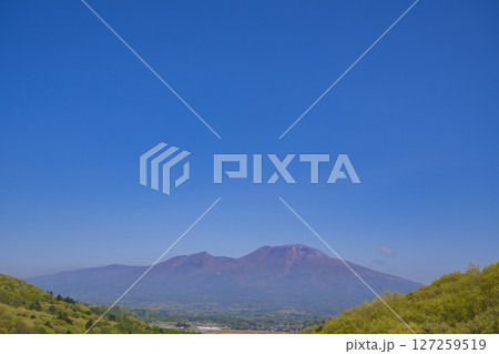 新緑の浅間山 快晴素材 新緑の浅間山 快晴素材 127259519