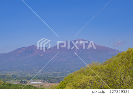 新緑の浅間山 快晴素材 新緑の浅間山 快晴素材 127259525