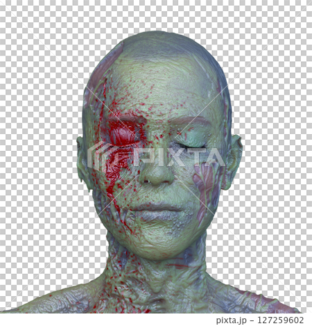 Male zombie face 127259602