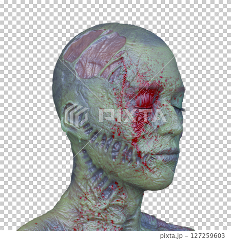 Male zombie face 127259603