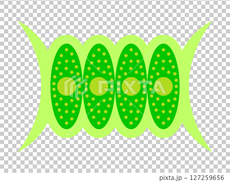 簡單插圖素材2 簡單插圖素材2 127259656