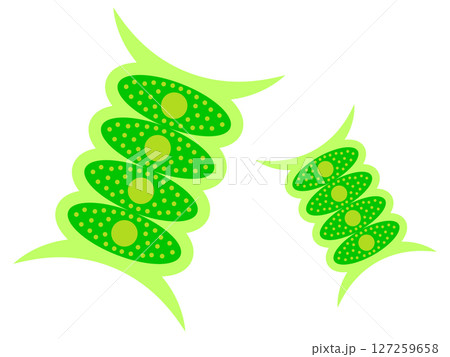 シンプルなイカダモのイラスト素材4 127259658