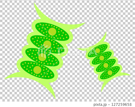 簡單插圖資料4 簡單插圖資料4 127259658