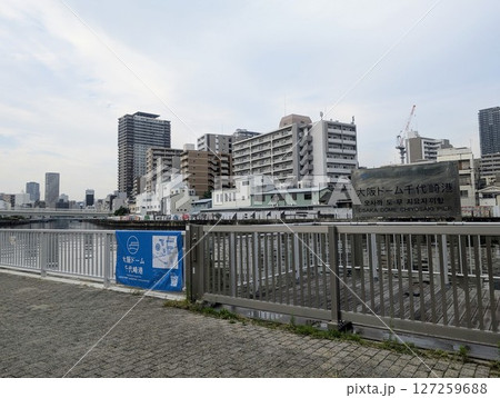 木津川沿いの遊歩道を散歩する 127259688