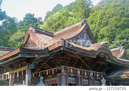 香川県金刀比羅宮拝殿-1 127259720
