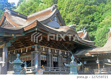 香川県金刀比羅宮拝殿-2 127259721