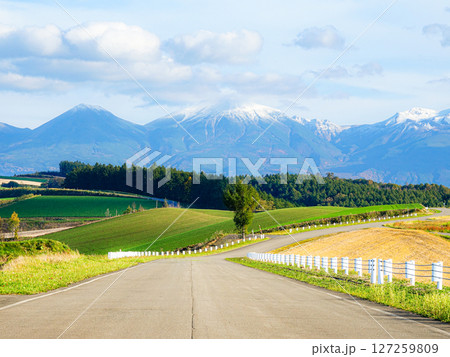 秋の北海道美瑛町の丘の上の道の風景 秋の北海道美瑛町の丘の上の道の風景 127259809