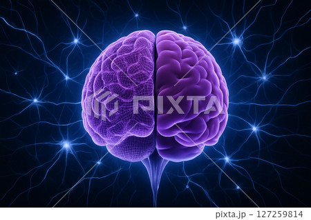 AI generated illustration of a glowing purple human brain with wireframe left hemisphere and smooth right hemisphere surrounded by blue white neural network showing data flow and brain activity 127259814