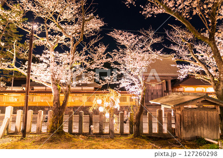 《熊本県》阿蘇神社の夜桜 127260298