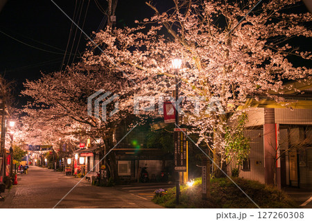 《熊本県》阿蘇門前町商店街の夜桜 《熊本県》阿蘇門前町商店街の夜桜 127260308