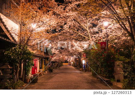 《熊本県》阿蘇門前町商店街の夜桜 127260313