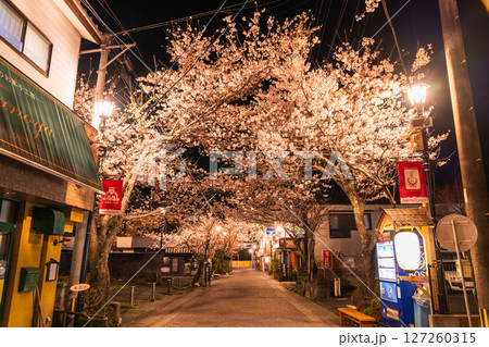 《熊本県》阿蘇門前町商店街の夜桜 127260315