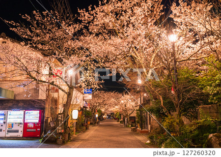 《熊本県》阿蘇門前町商店街の夜桜 《熊本県》阿蘇門前町商店街の夜桜 127260320