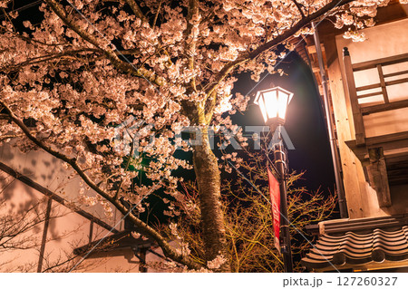 《熊本県》阿蘇門前町商店街の夜桜 《熊本県》阿蘇門前町商店街の夜桜 127260327