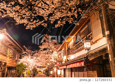 《熊本県》阿蘇門前町商店街の夜桜 127260331