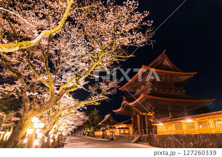 《熊本県》阿蘇神社の夜桜 《熊本県》阿蘇神社の夜桜 127260339