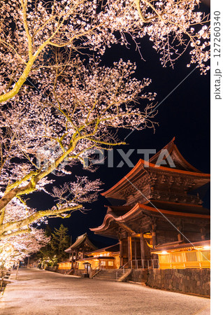 《熊本県》阿蘇神社の夜桜 127260340