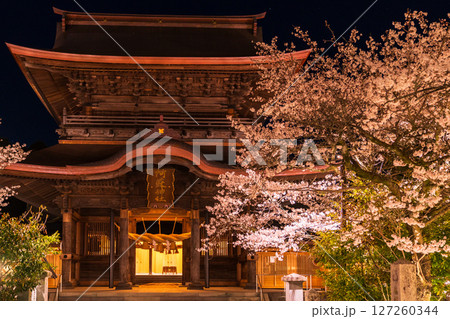 《熊本県》阿蘇神社の夜桜 127260344