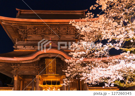 《熊本県》阿蘇神社の夜桜 127260345