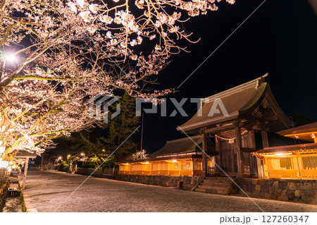 《熊本県》阿蘇神社の夜桜 《熊本県》阿蘇神社の夜桜 127260347