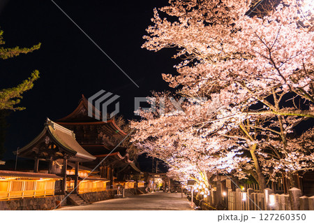 《熊本県》阿蘇神社の夜桜 《熊本県》阿蘇神社の夜桜 127260350
