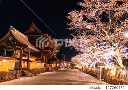 《熊本県》阿蘇神社の夜桜 《熊本県》阿蘇神社の夜桜 127260351