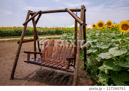 夏の日差しの中で、大輪の花を咲かせ元気と明日への希望をくれる、ひまわり 夏の日差しの中で、大輪の花を咲かせ元気と明日への希望をくれる、ひまわり 127260761