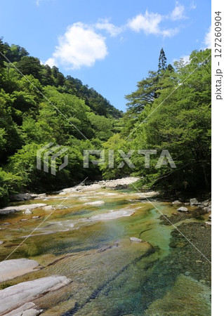 初夏の面河渓 初夏の面河渓 127260904
