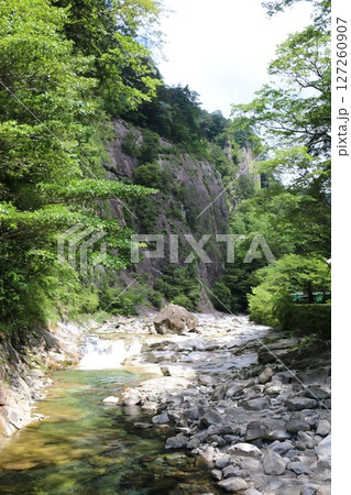 初夏の面河渓 初夏の面河渓 127260907