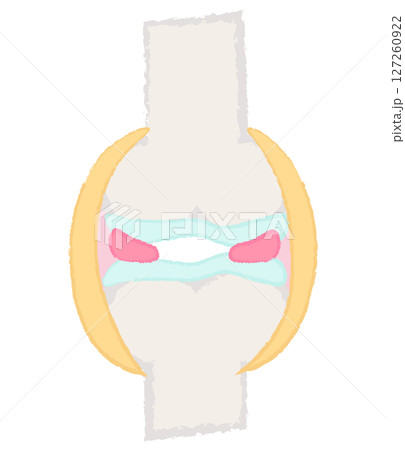 手描きの関節・骨のイラスト 手描きの関節・骨のイラスト 127260922